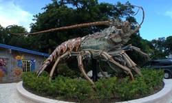 Betsy, the giant replica of a Florida Keys spiny lobster, stands outside the Rain Barrel Artisan Village. 
